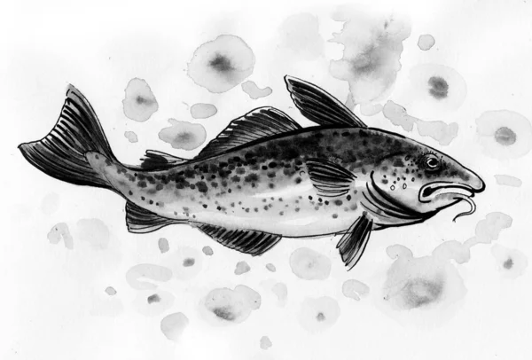 Peixe Bacalhau Água Tinta Aquarela Ilustração — Fotografia de Stock