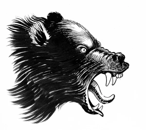 Angry Black Bear Ink Black White Drawing — Stock Photo, Image