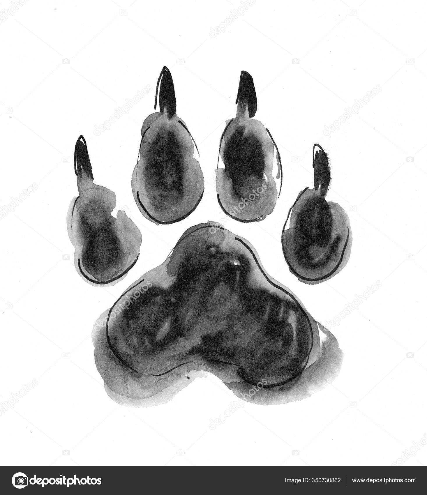 Dog Paw Print Ink Watercolor Illustration Stock Photo by ©alexblacksea  350730862