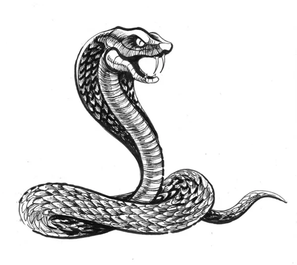 Wütende Kobra Schlange Schwarz Weiße Tuschezeichnung — Stockfoto