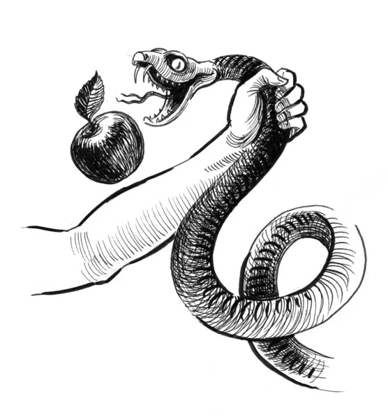 Serpiente Luchadora Manos Con Manzana Dibujo Blanco Negro Tinta — Foto de Stock