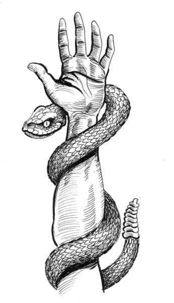 Cobra com maçã e mão. desenho de tinta preto e branco