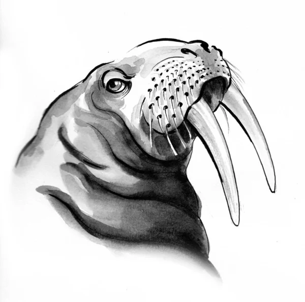 Grote Walrus Inkt Aquarel Illustratie — Stockfoto