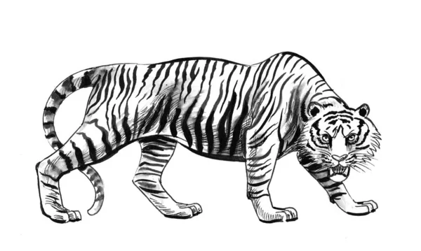 Ilska Gående Tiger Bläck Svart Och Vitt Ritning — Stockfoto