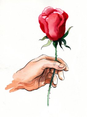 El ele tutuşan kırmızı gül çiçeği. Mürekkep ve suluboya çizimi
