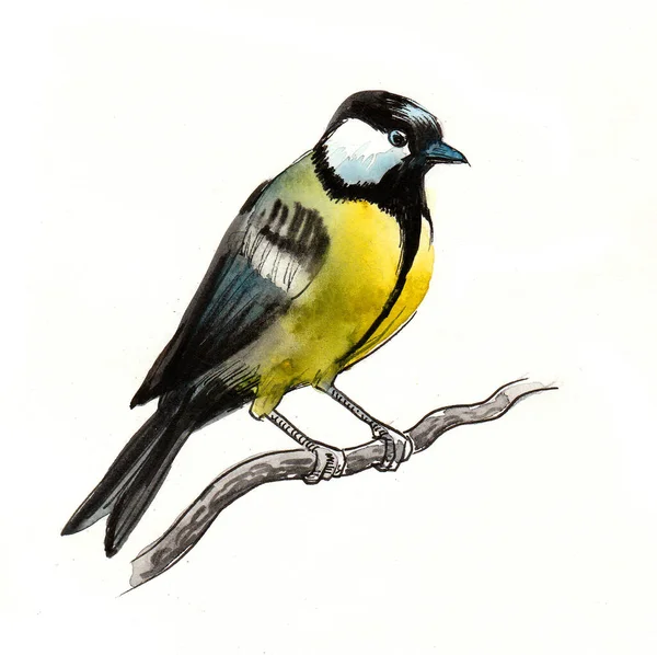 Pájaro Árbol Ilustración Tinta Acuarela — Foto de Stock