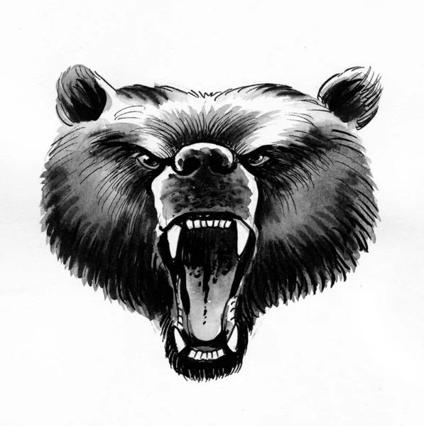 愤怒的灰熊 墨水和水彩画 — 图库照片