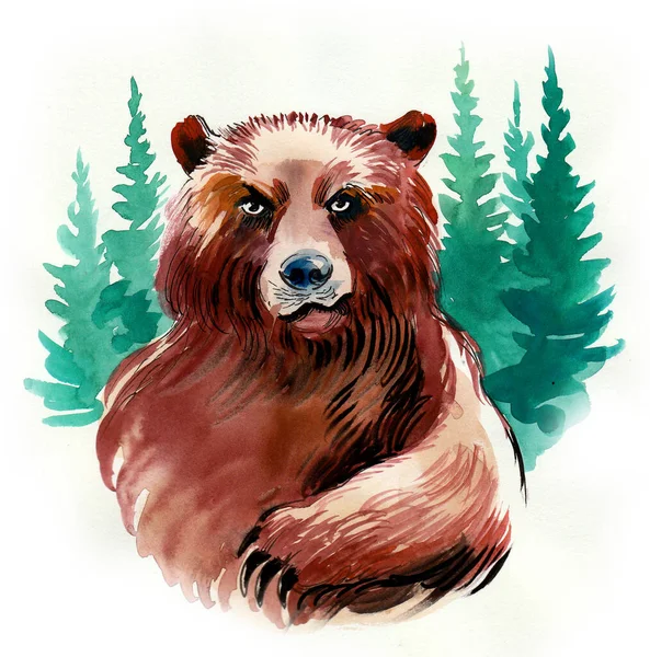 Wild Bear Forest Ink Watercolor Illustration — Stock Photo, Image