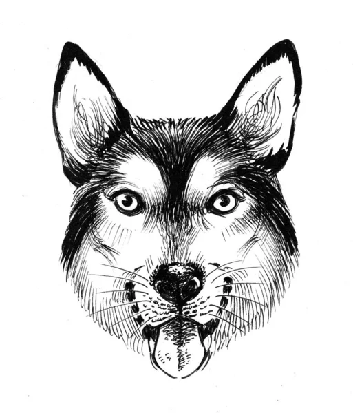 Husky Hundekopf Schwarz Weiße Tuschezeichnung — Stockfoto