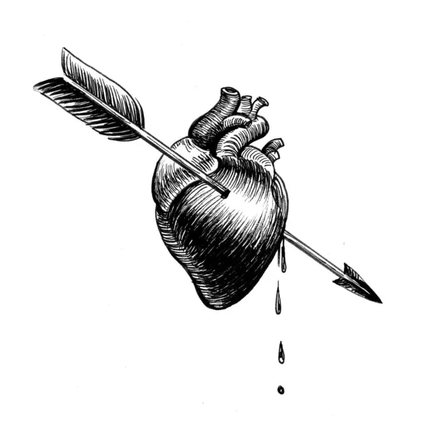 Kalbi Okla Delinmiş Mürekkep Siyah Beyaz Çizim — Stok fotoğraf