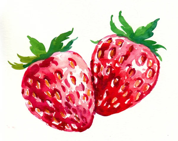 Deux Fraises Illustration Encre Aquarelle — Photo