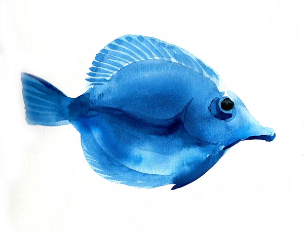 Μπλε Κοραλλιογενή Τροπικά Ψάρια Εικονογράφηση Μελανιού Και Ακουαρέλας — Φωτογραφία Αρχείου