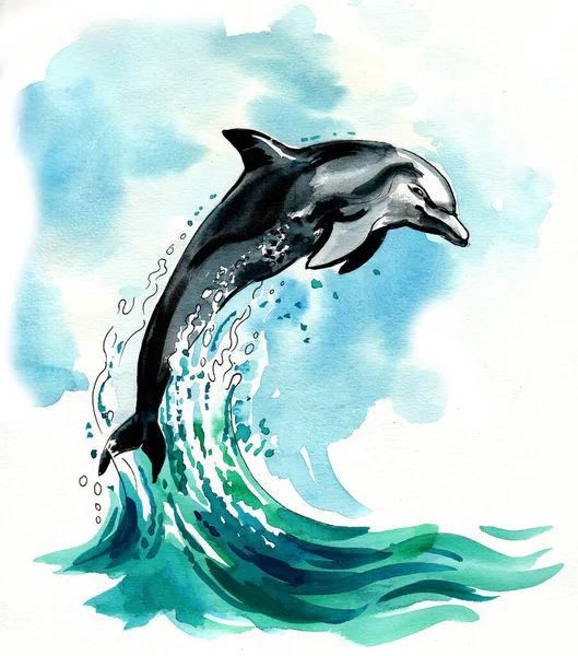 jumping dolphin. Ink and watercolor illustration