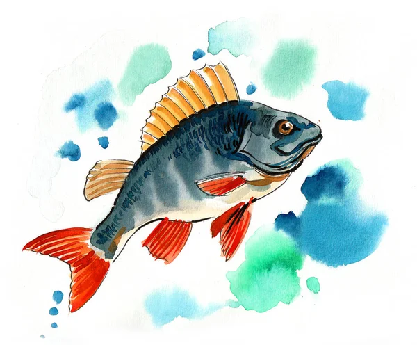 Fish in fresh water. Ink and watercolor illustration