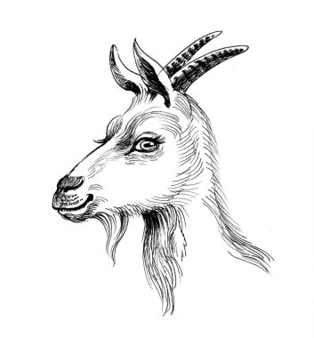 Keçi. Mürekkep siyah beyaz çizim