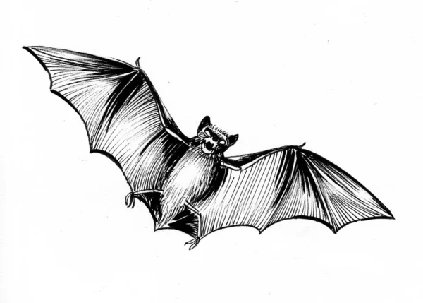 Ιπτάμενη Νυχτερίδα Μελάνι Ασπρόμαυρο Σχέδιο — Φωτογραφία Αρχείου