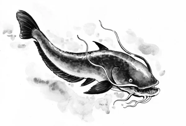 Ikan Lele Dalam Air Sungai Ilustrasi Tinta Dan Cat Air — Stok Foto