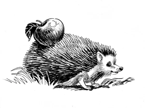 Hedgehog Carrying Apple Ink Black White Drawing — Stock Photo, Image