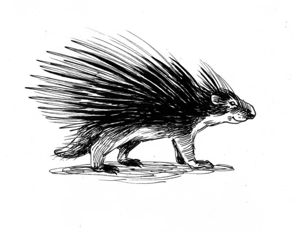 Porcupine Animal Ink Watercolor Illustration — Stock Photo, Image