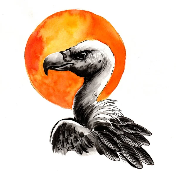 Sęp Orzeł Słońce Ilustracja Tuszu Akwareli — Zdjęcie stockowe
