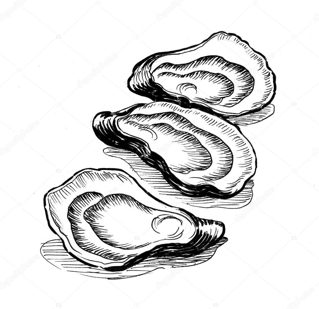 Sea oysters. Ink black and white drawing