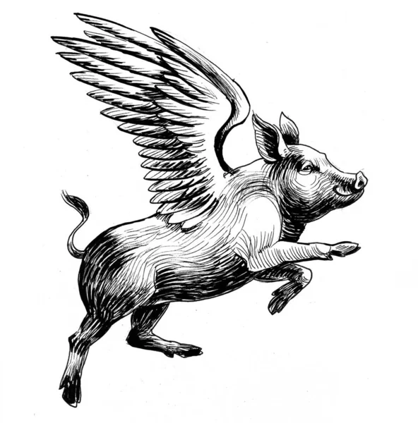 Flying Pig Ink Black White Drawing — Stock Photo, Image