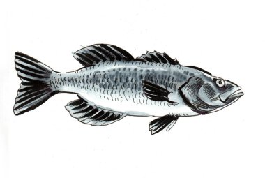 Deniz balığı. Mürekkep ve suluboya çizim