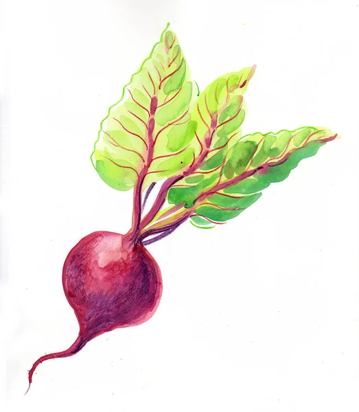 나뭇잎을 딱정벌레 수채화 — 스톡 사진