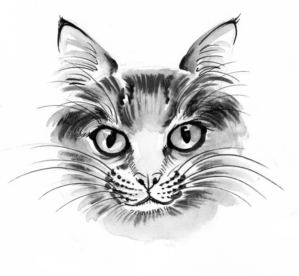 Cabeza Gato Dibujo Tinta Acuarela — Foto de Stock