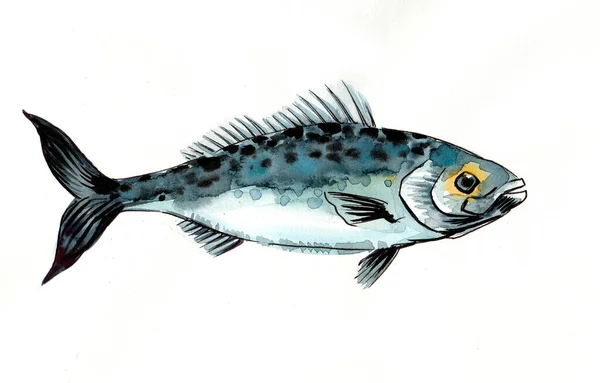 Mořské Ryby Kresba Inkoustem Akvarelem — Stock fotografie