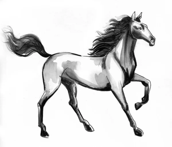 Piękny Koń Czarno Biały Rysunek Atramentu — Zdjęcie stockowe