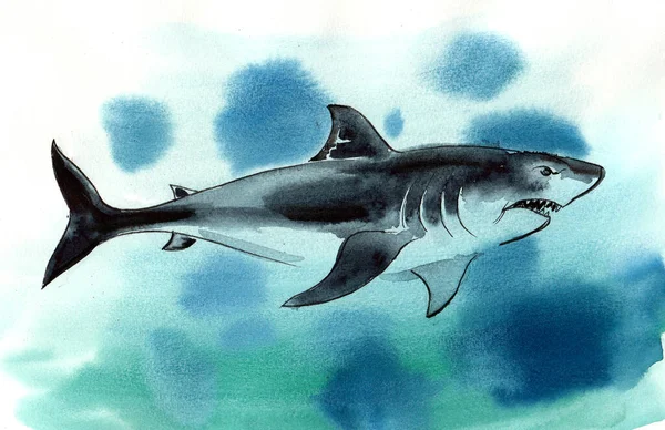 Peces Tiburón Nadando Agua Del Océano Dibujo Tinta Acuarela —  Fotos de Stock