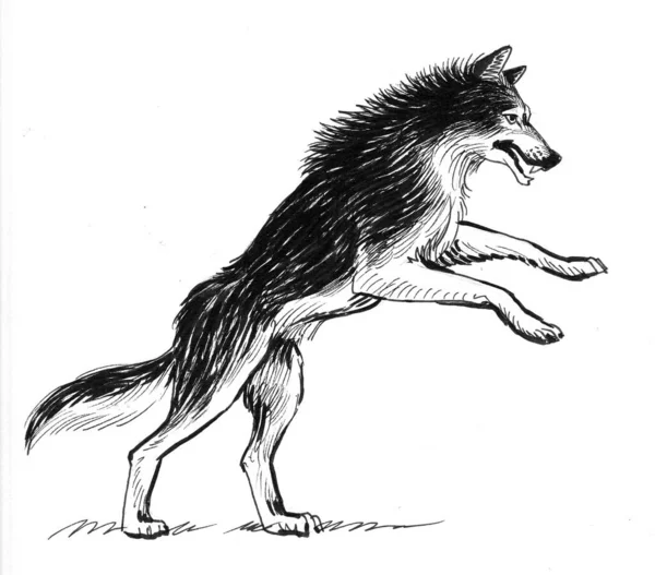 Skákající Vlk Černobílá Kresba Inkoustu — Stock fotografie