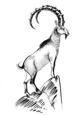 Kayalık zirvede dağ keçisi. Mürekkep siyah beyaz çizim