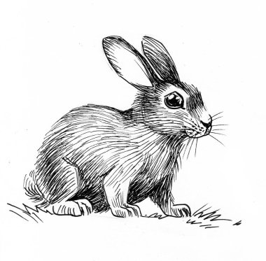 Sevimli bebek tavşan. Mürekkep siyah beyaz çizim