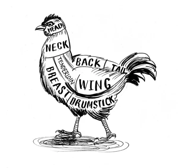 Chicken Horoskop Für Metzger Schwarz Weiße Tuschezeichnung — Stockfoto