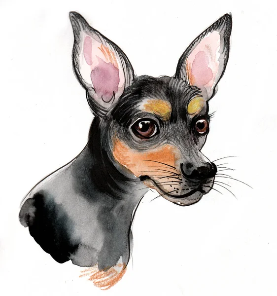 Cute Puppy Dog Ink Watercolor Drawing Ink Watercolor Sketch — Stock Photo, Image