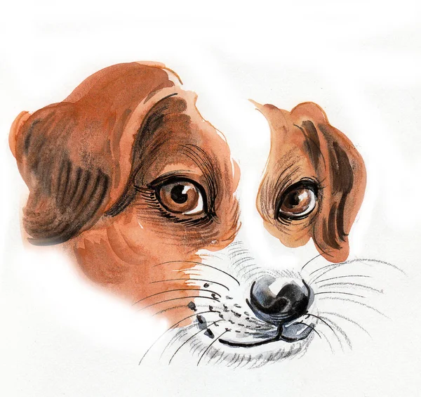 Cute Puppy Dog Head Ink Watercolor Drawing — Stock Photo, Image