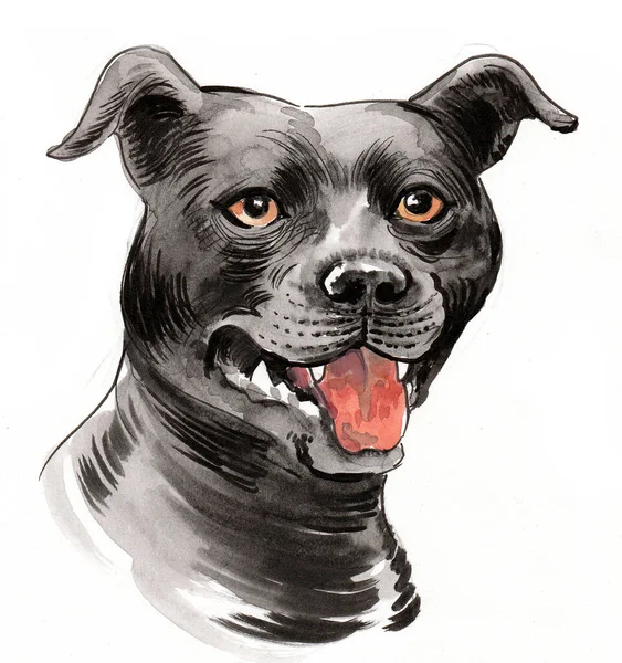 Büyük Siyah Köpek Kafası Mürekkep Suluboya Çizim — Stok fotoğraf