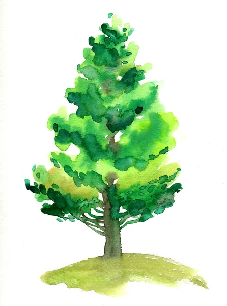 美丽的松树水彩画 — 图库照片