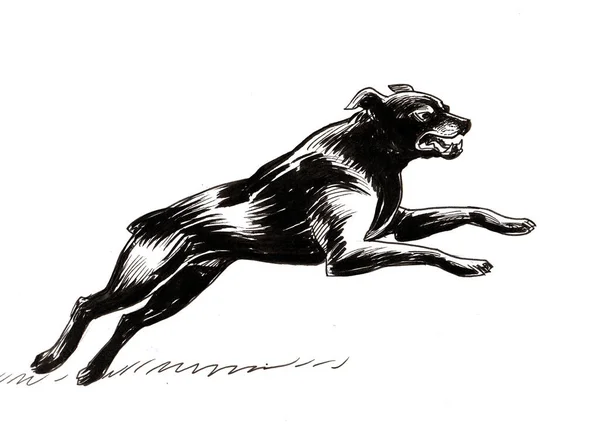 Biegnący Czarny Pies Rysunek Atramentu — Zdjęcie stockowe