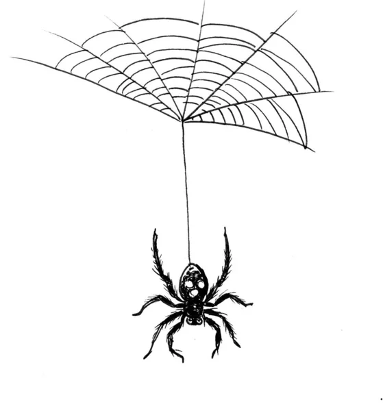 Spider Hanging Web Ink Black White Drawing — Stock Photo, Image