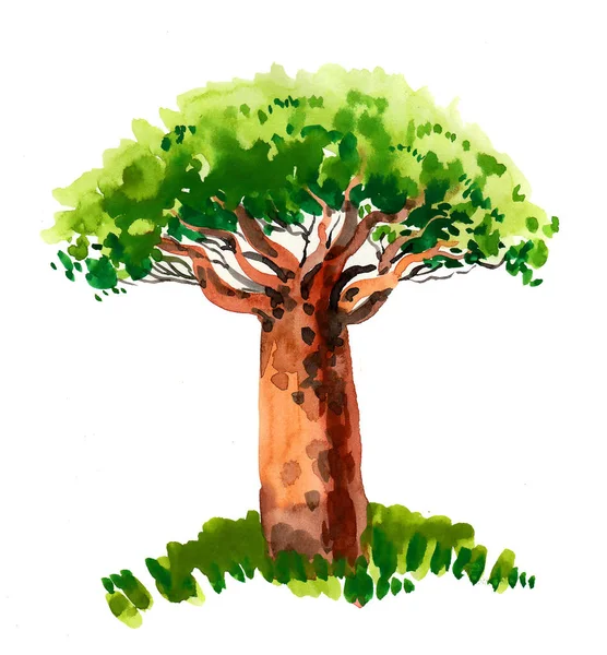 Дерево Баобаб Африканской Саванне Чернила Акварель — стоковое фото