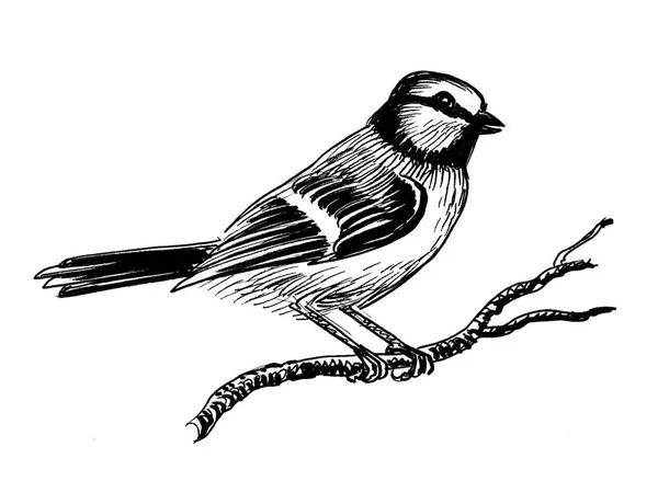 Pájaro Sentado Una Rama Árbol Dibujo Blanco Negro Tinta — Foto de Stock