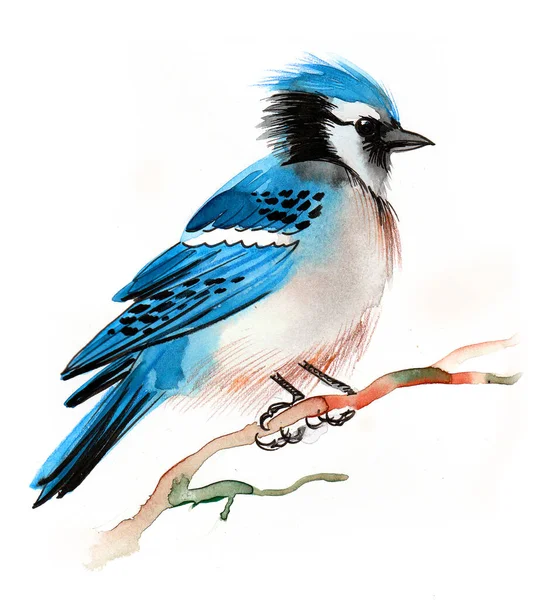 Pájaro Azul Sentado Una Rama Árbol Dibujo Tinta Acuarela —  Fotos de Stock