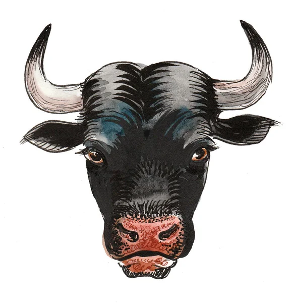 Schwarzer Bullenkopf Tusche Und Aquarellzeichnung — Stockfoto