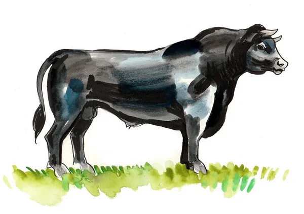 Inkoust Akvarel Kresba Stojícího Černého Býka — Stock fotografie