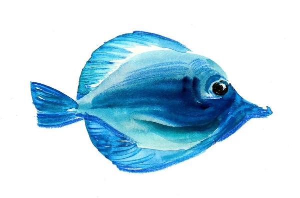Blue Coral Fish White Background Ink Watercolor Drawing — Stock Photo, Image