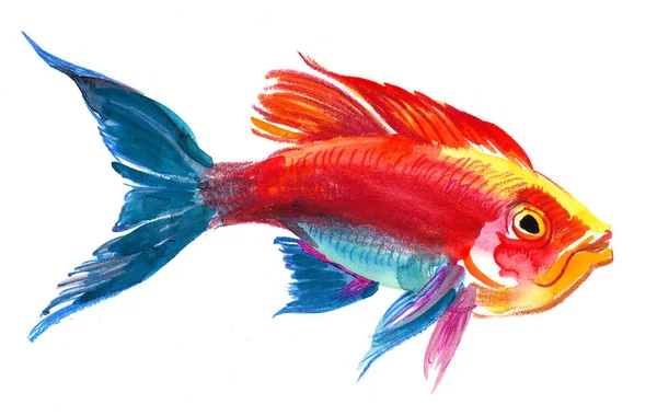美丽多彩的热带鱼 墨水和水彩画 — 图库照片