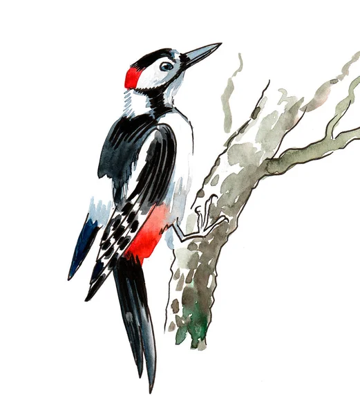 Ağaçtaki Ağaçkakan Kuşu Mürekkep Suluboya Çizim — Stok fotoğraf